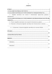 Ilgalaikio materialaus turto rekonstrukcijos ir esminio pagerinimo dokumentavimas 2 puslapis