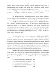 Ilgalaikio materialaus turto rekonstrukcijos ir esminio pagerinimo dokumentavimas 11 puslapis