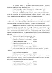 Ilgalaikio materialaus turto rekonstrukcijos ir esminio pagerinimo dokumentavimas 12 puslapis