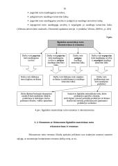 Ilgalaikio materialaus turto rekonstrukcijos ir esminio pagerinimo dokumentavimas 16 puslapis