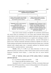 Ilgalaikio materialaus turto rekonstrukcijos ir esminio pagerinimo dokumentavimas 17 puslapis