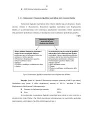 Ilgalaikio materialaus turto rekonstrukcijos ir esminio pagerinimo dokumentavimas 19 puslapis