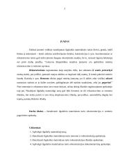 Ilgalaikio materialaus turto rekonstrukcijos ir esminio pagerinimo dokumentavimas 3 puslapis