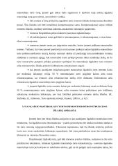 Ilgalaikio materialaus turto rekonstrukcijos ir esminio pagerinimo dokumentavimas 7 puslapis
