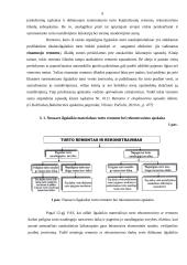 Ilgalaikio materialaus turto rekonstrukcijos ir esminio pagerinimo dokumentavimas 9 puslapis
