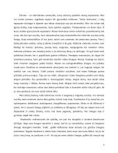 Aš organizacijoje 3 puslapis