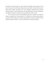 Aš organizacijoje 6 puslapis