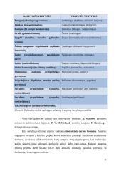 Pagrindiniai darbuotojų motyvavimo būdai šiuolaikinėmis sąlygomis 11 puslapis