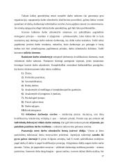 Pagrindiniai darbuotojų motyvavimo būdai šiuolaikinėmis sąlygomis 17 puslapis