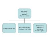 J.Laužikas apie lavinimą 11 puslapis