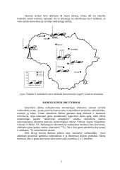 Aplinkos būklė Lietuvoje 5 puslapis