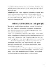 Mėsos produktų, skirtų vaikams, receptūros, technologijos ypatumai, kokybės gerinimas bei kontrolė 8 puslapis