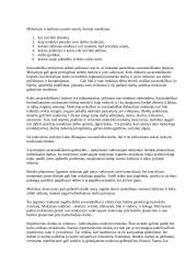 Netradicinai mokymo metodai 8 puslapis