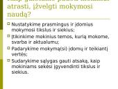 Mokymo ir mokymosi bruožai 11 puslapis