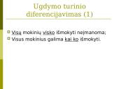 Mokymo ir mokymosi bruožai 20 puslapis