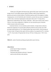 Klubo sąnario įgimtas išnirimas 3 puslapis