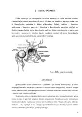 Klubo sąnario įgimtas išnirimas 4 puslapis