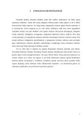 Klubo sąnario įgimtas išnirimas 7 puslapis