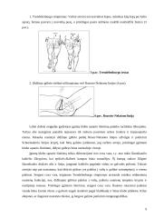 Klubo sąnario įgimtas išnirimas 9 puslapis