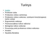 Kineziterapeuto profesinės rizikos įvertinimas 2 puslapis