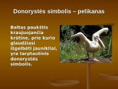 Organų donorystė 6 puslapis