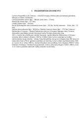 Lietuvos (LR) istorija 3 puslapis