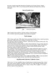 Lietuvos (LR) istorija 7 puslapis