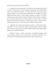 Spalvų psichologija ir reklama 11 puslapis