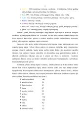 Spalvų psichologija ir reklama 5 puslapis