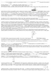 Kinematika ir dinamika 6 puslapis