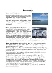 Geografijos Referatas - Marios 5 puslapis