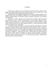 Medienos džiovinimas Lietuvoje 3 puslapis