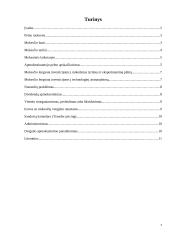 Juridinių asmenų mokestis 2 puslapis