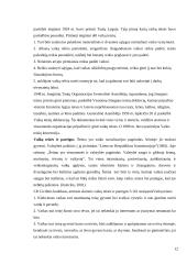 Smurtas  prieš vaikus šeimoje 13 puslapis