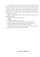 Asmens higiena ir priežiūra. Mokiniui skirtos higieniškos aplinkos kūrimas 3 puslapis
