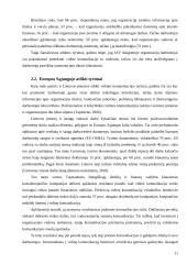 Komunikacijos ir jų svarba vadovo darbe 11 puslapis