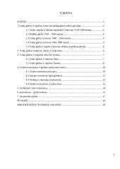 Vaikų globos ypatumai Lietuvoje 2 puslapis