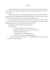 Vaikų globos ypatumai Lietuvoje 3 puslapis