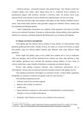 Vaikų globos ypatumai Lietuvoje 10 puslapis