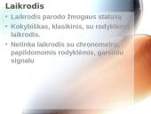 Vyrų apranga 13 puslapis