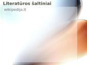 Pirmieji Lietuvos prezidentai 18 puslapis