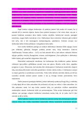 Darbdavio ir jūreivio materialinė atsakomybė 11 puslapis