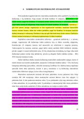 Darbdavio ir jūreivio materialinė atsakomybė 10 puslapis