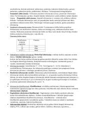 Informatikos paskaitų konspektas  2 puslapis