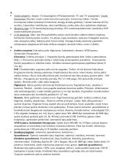 Informatikos paskaitų konspektas  11 puslapis