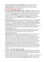 Informatikos paskaitų konspektas  17 puslapis