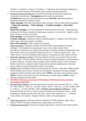 Informatikos paskaitų konspektas  18 puslapis