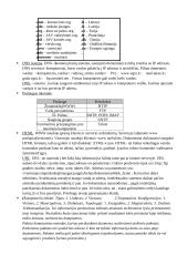 Informatikos paskaitų konspektas  19 puslapis