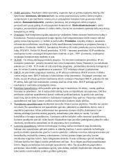 Informatikos paskaitų konspektas  20 puslapis