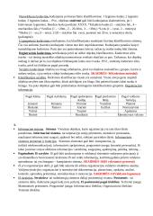 Informatikos paskaitų konspektas  4 puslapis